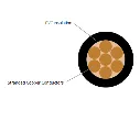 Screenshot 2026-06-01 123017.webp
